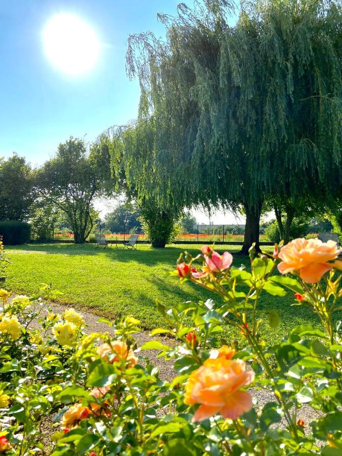 Hotel L'Oree Des Vignes Gilly-les-Citeaux Екстер'єр фото