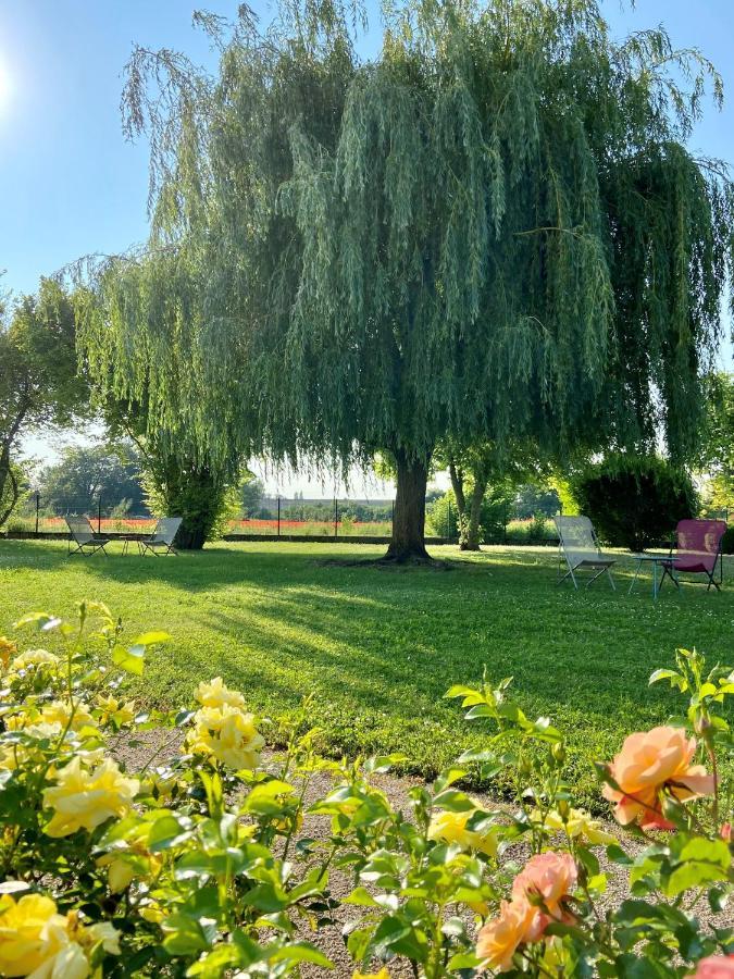Hotel L'Oree Des Vignes Gilly-les-Citeaux Екстер'єр фото