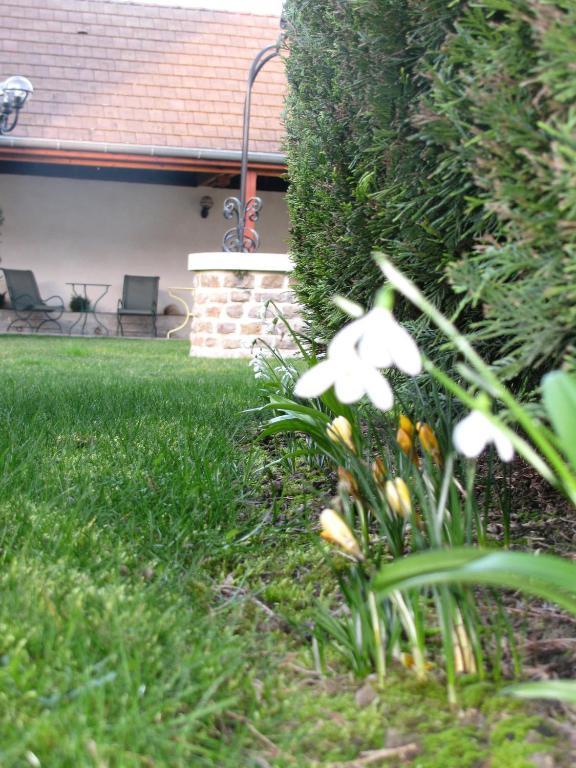 Hotel L'Oree Des Vignes Gilly-les-Citeaux Екстер'єр фото