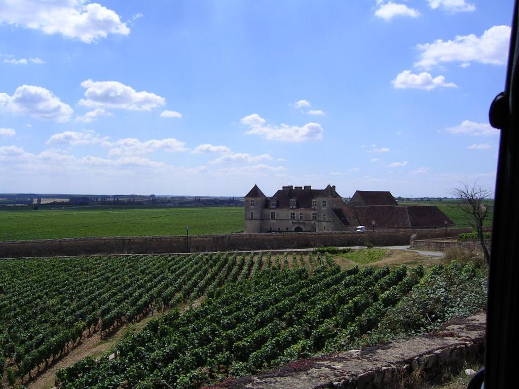 Hotel L'Oree Des Vignes Gilly-les-Citeaux Екстер'єр фото